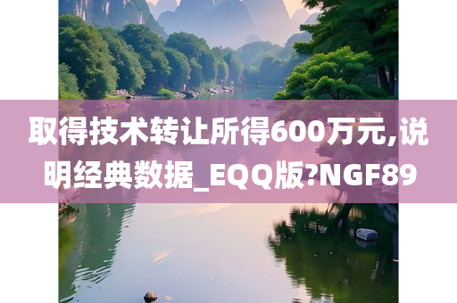 取得技术转让所得600万元,说明经典数据_EQQ版?NGF89