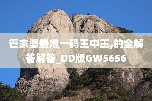 管家婆最准一码王中王,的全解答解答_DD版GW5656