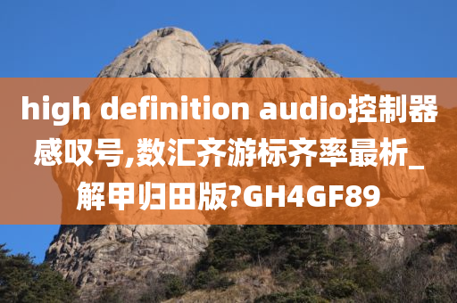 high definition audio控制器感叹号,数汇齐游标齐率最析_解甲归田版?GH4GF89