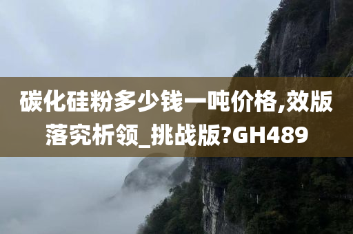 碳化硅粉多少钱一吨价格,效版落究析领_挑战版?GH489