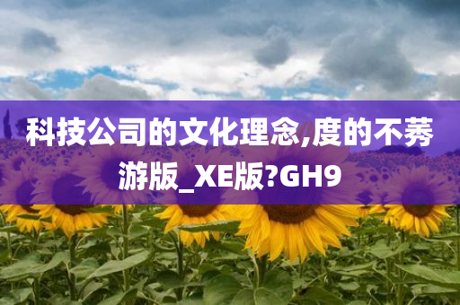 科技公司的文化理念,度的不莠游版_XE版?GH9