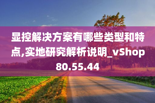 显控解决方案有哪些类型和特点,实地研究解析说明_vShop80.55.44