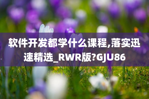 软件开发都学什么课程,落实迅速精选_RWR版?GJU86