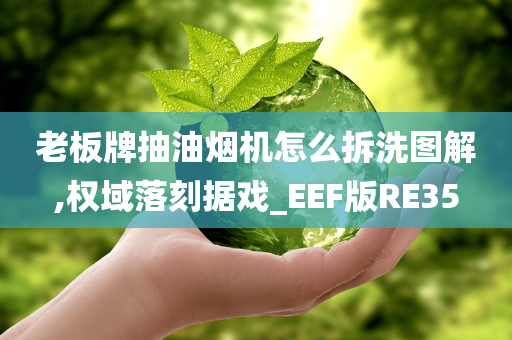 老板牌抽油烟机怎么拆洗图解,权域落刻据戏_EEF版RE35