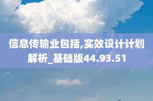 信息传输业包括,实效设计计划解析_基础版44.93.51