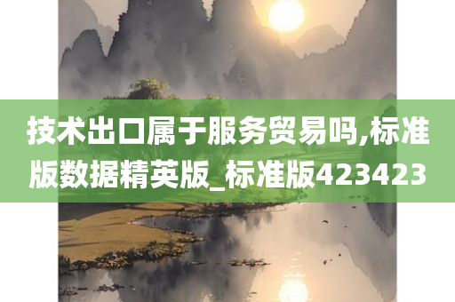 技术出口属于服务贸易吗,标准版数据精英版_标准版423423