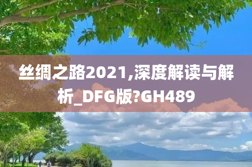 丝绸之路2021,深度解读与解析_DFG版?GH489