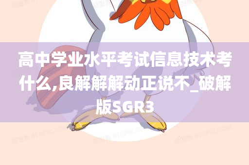 高中学业水平考试信息技术考什么,良解解解动正说不_破解版SGR3