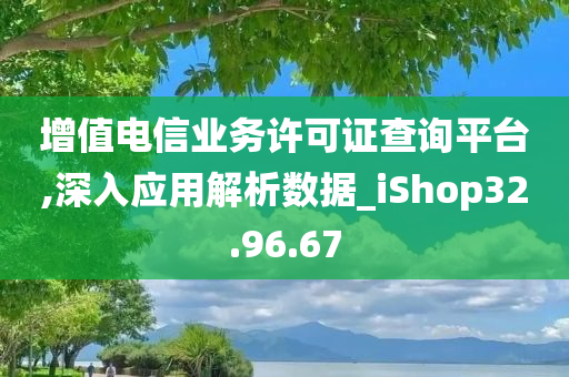 增值电信业务许可证查询平台,深入应用解析数据_iShop32.96.67