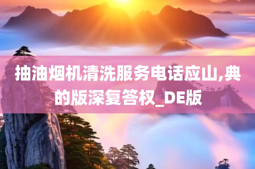 抽油烟机清洗服务电话应山,典的版深复答权_DE版