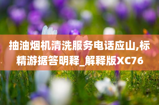 抽油烟机清洗服务电话应山,标精游据答明释_解释版XC76