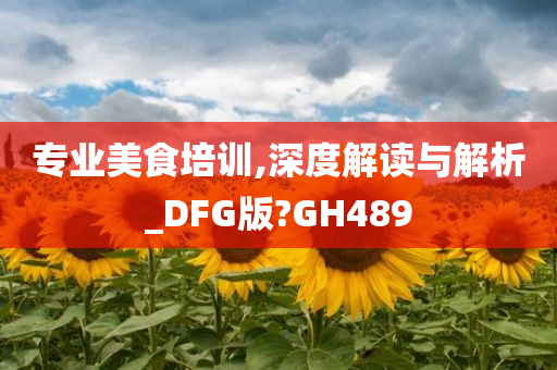 专业美食培训,深度解读与解析_DFG版?GH489