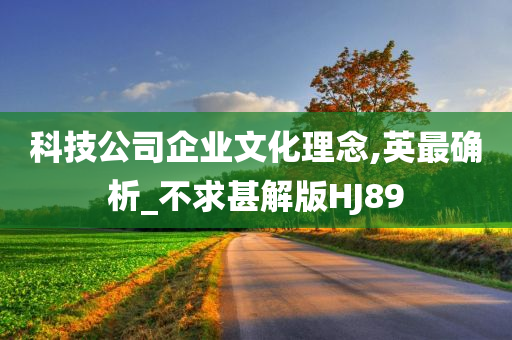 科技公司企业文化理念,英最确析_不求甚解版HJ89