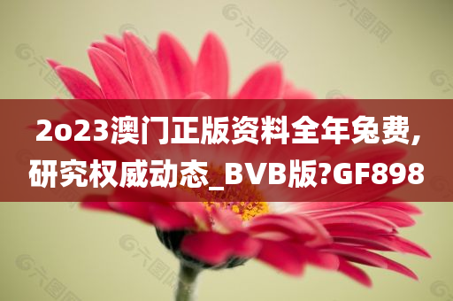 2o23澳门正版资料全年兔费,研究权威动态_BVB版?GF898