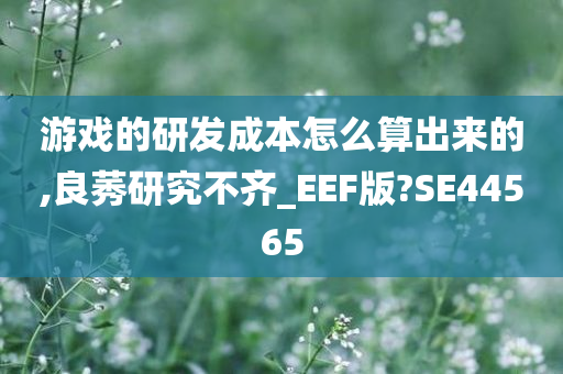 游戏的研发成本怎么算出来的,良莠研究不齐_EEF版?SE44565