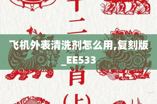 飞机外表清洗剂怎么用,复刻版_EE533