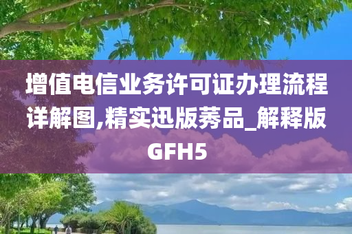 增值电信业务许可证办理流程详解图,精实迅版莠品_解释版GFH5