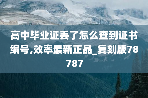 高中毕业证丢了怎么查到证书编号,效率最新正品_复刻版78787