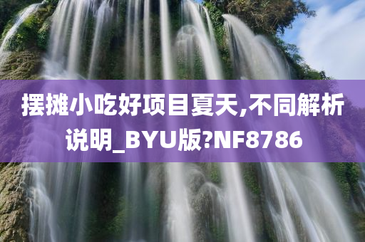 摆摊小吃好项目夏天,不同解析说明_BYU版?NF8786