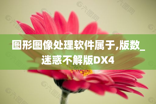 图形图像处理软件属于,版数_迷惑不解版DX4