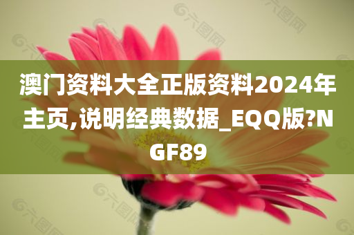 澳门资料大全正版资料2024年主页,说明经典数据_EQQ版?NGF89