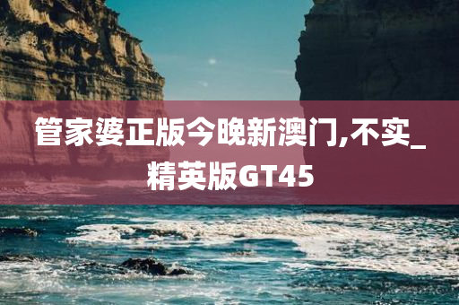 管家婆正版今晚新澳门,不实_精英版GT45