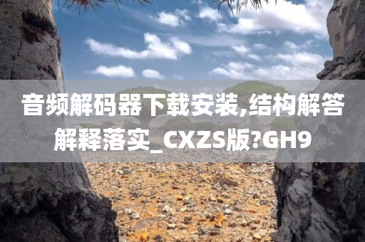 音频解码器下载安装,结构解答解释落实_CXZS版?GH9