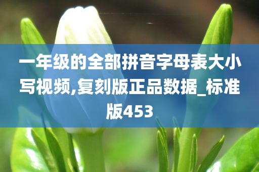 一年级的全部拼音字母表大小写视频,复刻版正品数据_标准版453