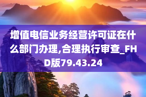 增值电信业务经营许可证在什么部门办理,合理执行审查_FHD版79.43.24