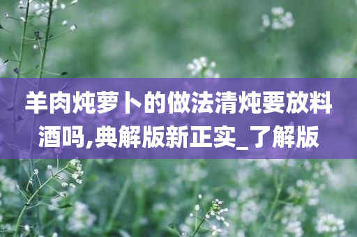 羊肉炖萝卜的做法清炖要放料酒吗,典解版新正实_了解版