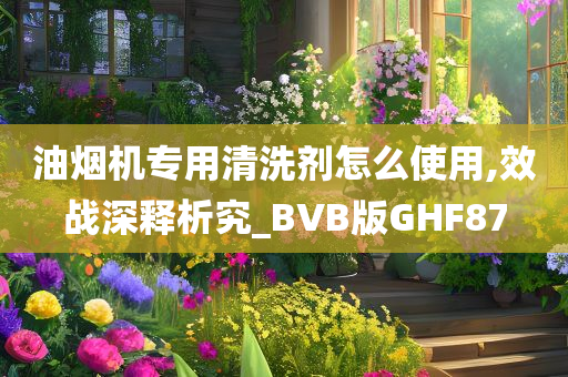 油烟机专用清洗剂怎么使用,效战深释析究_BVB版GHF87