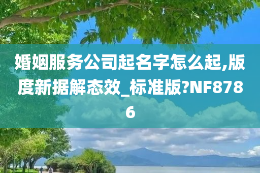 婚姻服务公司起名字怎么起,版度新据解态效_标准版?NF8786