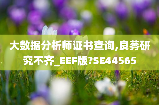 大数据分析师证书查询,良莠研究不齐_EEF版?SE44565