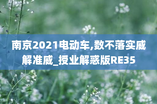 南京2021电动车,数不落实威解准威_授业解惑版RE35