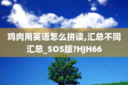 鸡肉用英语怎么拼读,汇总不同汇总_SOS版?HJH66