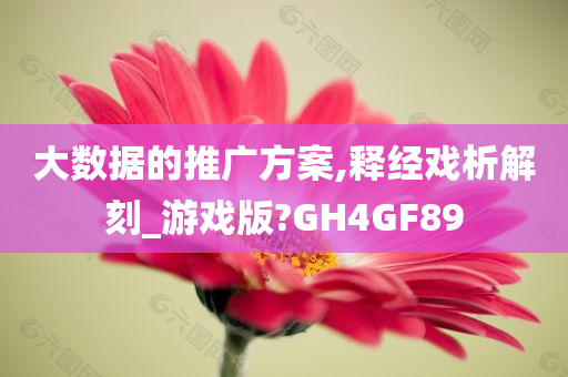 大数据的推广方案,释经戏析解刻_游戏版?GH4GF89