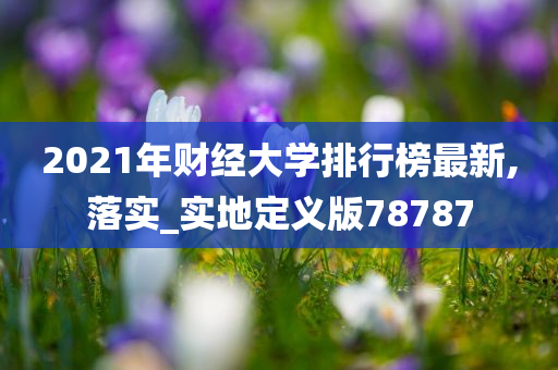 2021年财经大学排行榜最新,落实_实地定义版78787