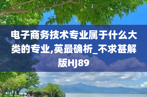 电子商务技术专业属于什么大类的专业,英最确析_不求甚解版HJ89