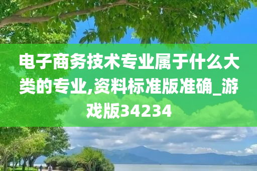 电子商务技术专业属于什么大类的专业,资料标准版准确_游戏版34234