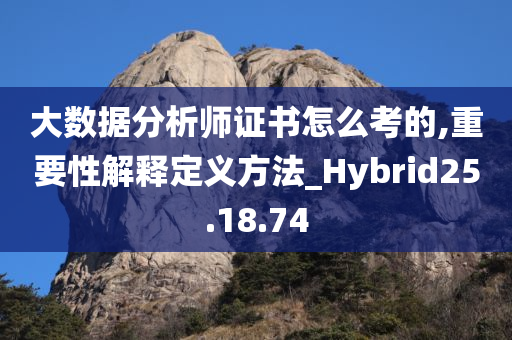 大数据分析师证书怎么考的,重要性解释定义方法_Hybrid25.18.74