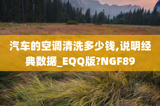 汽车的空调清洗多少钱,说明经典数据_EQQ版?NGF89