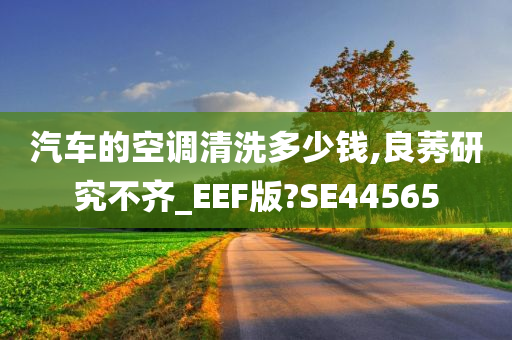 汽车的空调清洗多少钱,良莠研究不齐_EEF版?SE44565