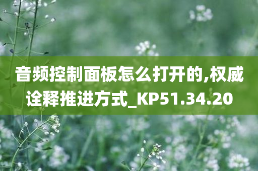 音频控制面板怎么打开的,权威诠释推进方式_KP51.34.20