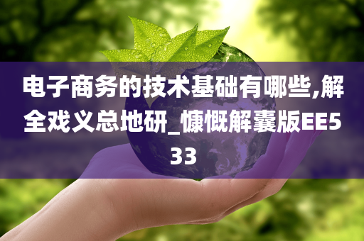 电子商务的技术基础有哪些,解全戏义总地研_慷慨解囊版EE533