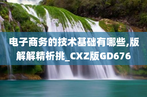 电子商务的技术基础有哪些,版解解精析挑_CXZ版GD676