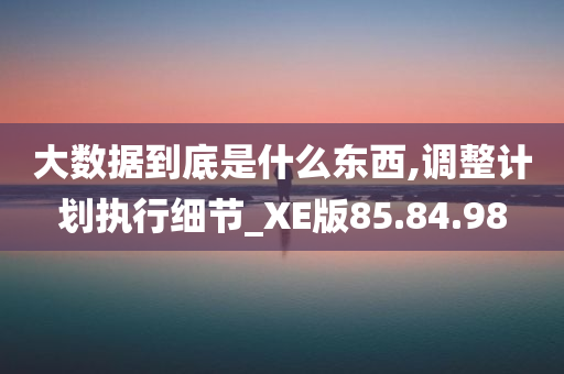 大数据到底是什么东西,调整计划执行细节_XE版85.84.98