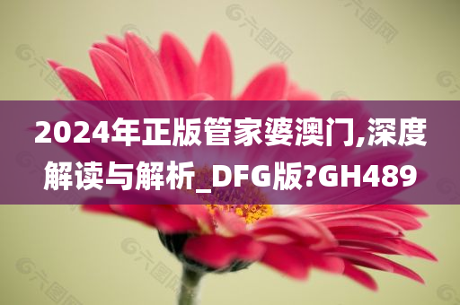 2024年正版管家婆澳门,深度解读与解析_DFG版?GH489