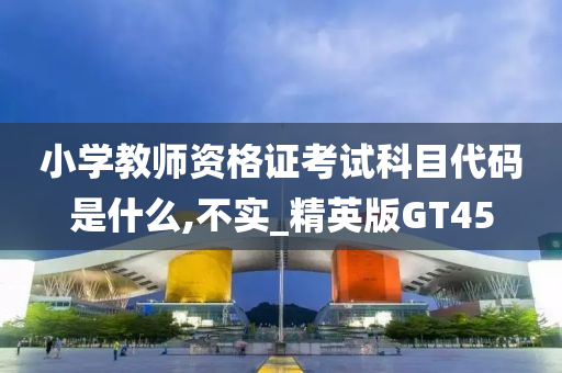 小学教师资格证考试科目代码是什么,不实_精英版GT45