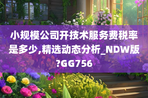 小规模公司开技术服务费税率是多少,精选动态分析_NDW版?GG756