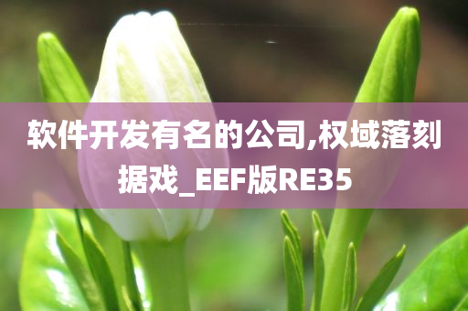 软件开发有名的公司,权域落刻据戏_EEF版RE35